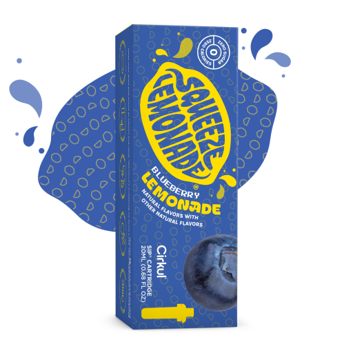 Squeeze Blueberry Lemonade | Fresh Choice